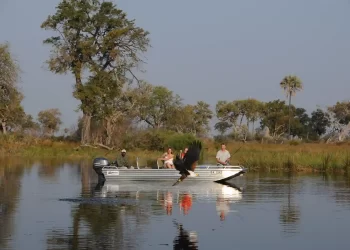 AST-500-AHBS NONRIDING BOAT 2