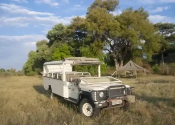 AST-500-BUSH-WAYS-SAFARIS-FULL-PARTICIPATION-SAFARI41