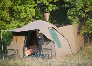 AST-500-BUSH-WAYS-SAFARIS-FULL-PARTICIPATION-SAFARI42